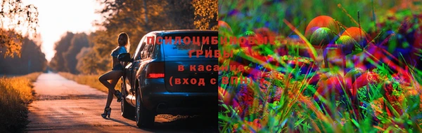 кокаин перу Алексин