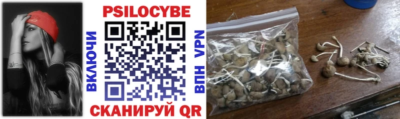 Псилоцибиновые грибы прущие грибы  Чернушка 